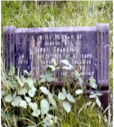 Upload Image